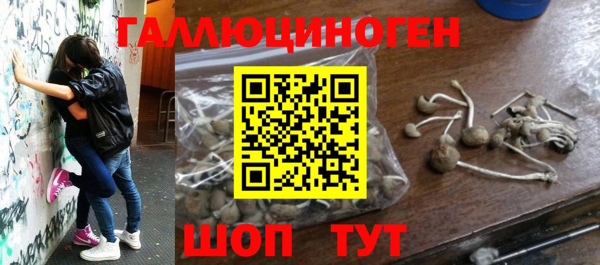 Екатеринбург  Псилоцибиновые грибы Magic Shrooms  Вход с VPN  Псилоцибиновые грибы Psilocybine cubensis 